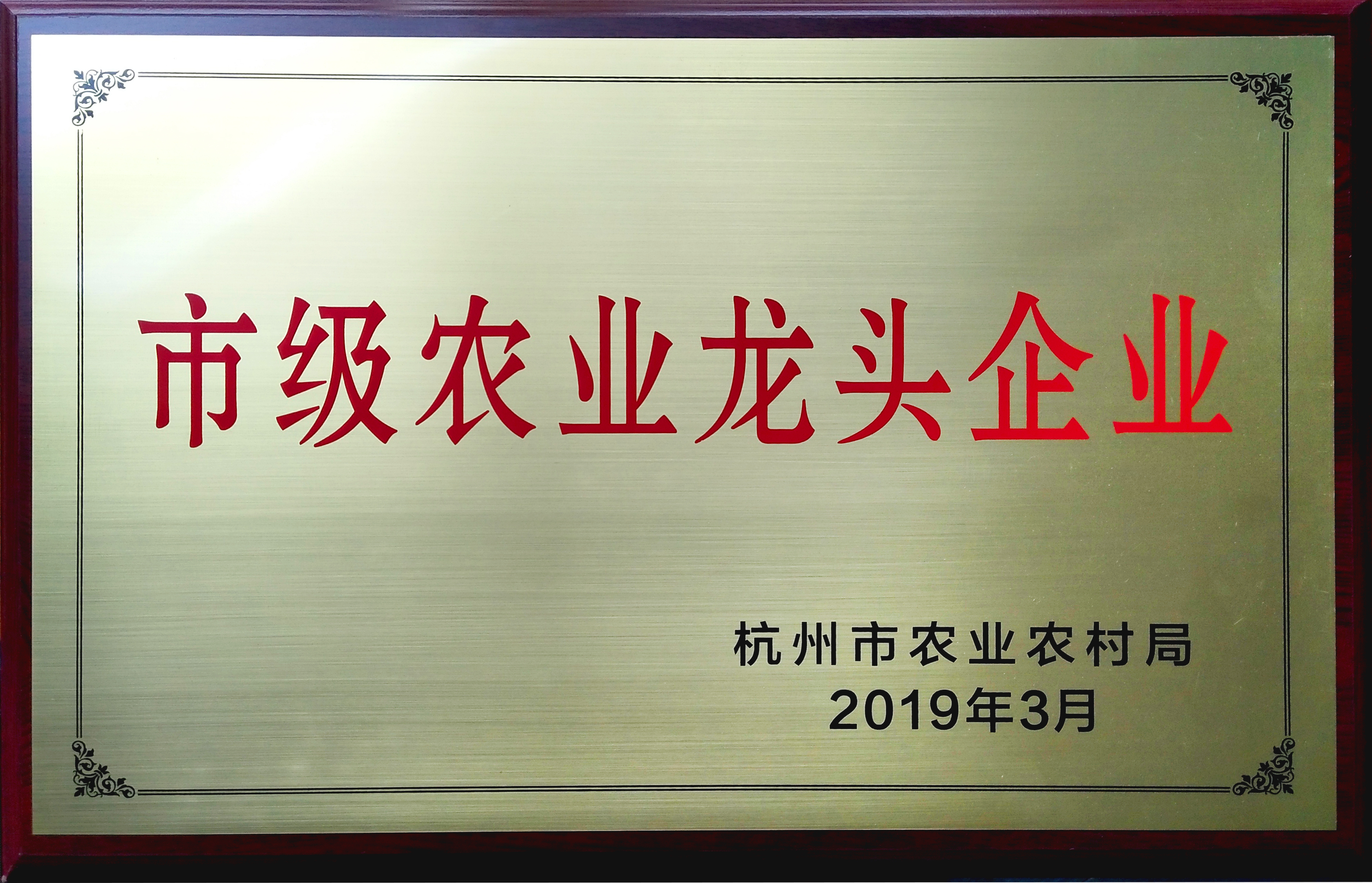 杭州市級龍頭企業(yè)(2019)