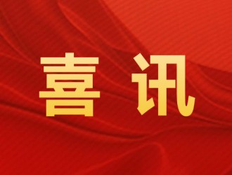 杭州種業(yè)集團(tuán)6個(gè)品種入選浙江省2025年種植業(yè)主導(dǎo)品種